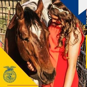 Meet your Posher, Hannah